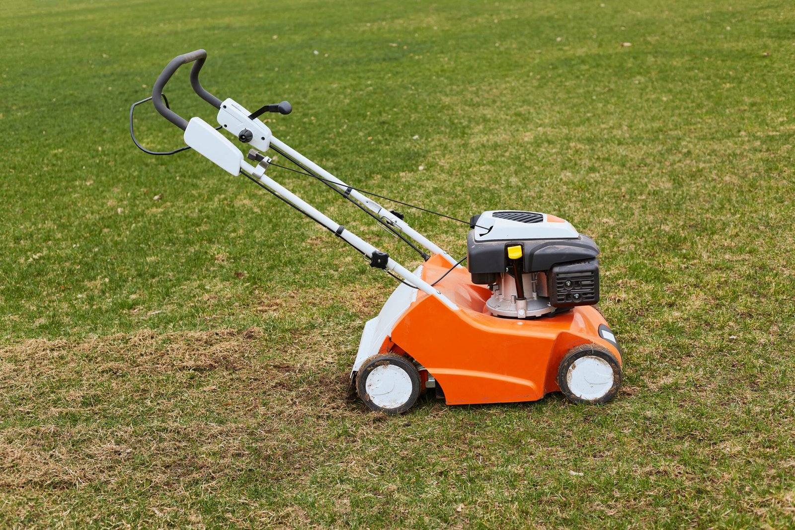 sod cutter machine rental